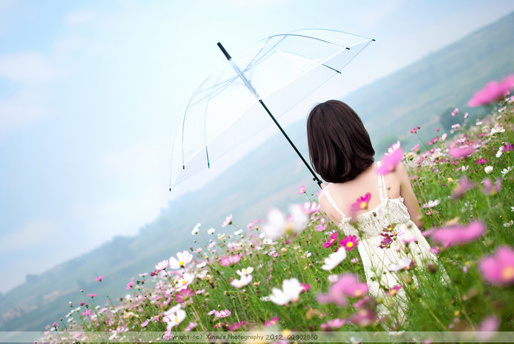 Sea of flowers