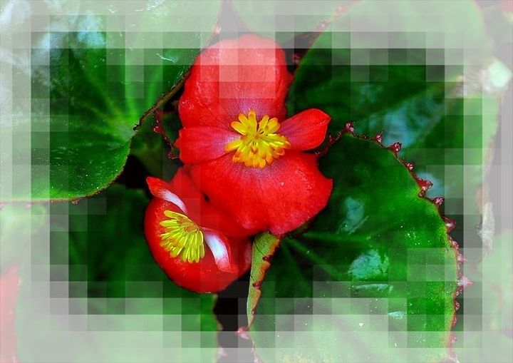 ﺣ
