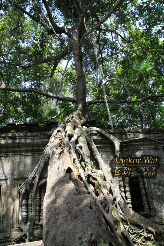 ANGKOR WATԾ