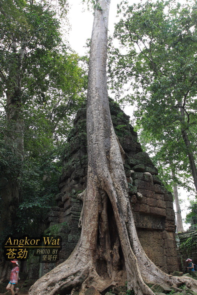 ANGKOR WATԾ