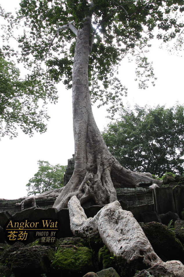 ANGKOR WATԾ