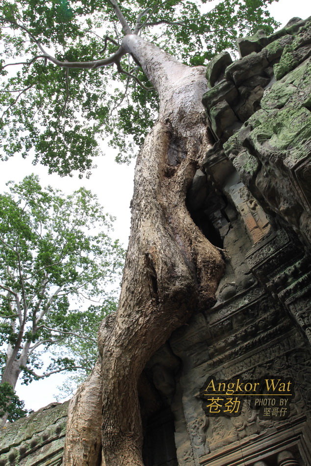 ANGKOR WATԾ