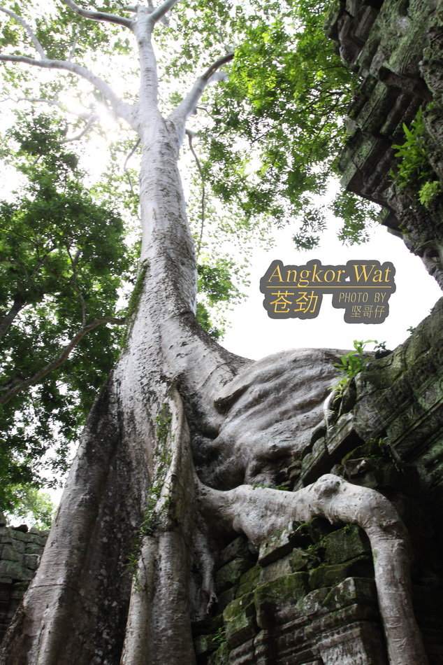 ANGKOR WATԾ