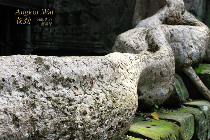 ANGKOR WATԾ