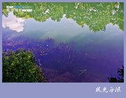 黔灵山公园-不输九寨之水