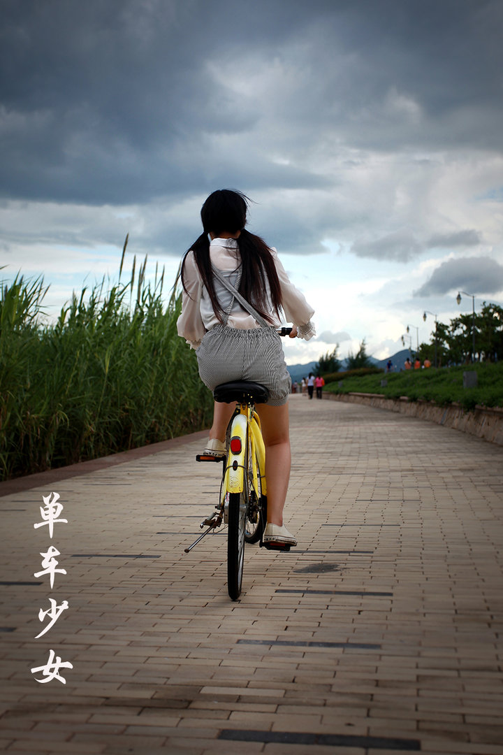 骑单车的女孩背影图片