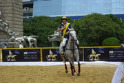 2012年中国(上海)国际马业展览会