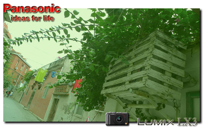 LX3ɨŹ