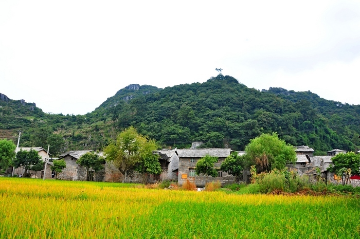 镇宁本寨镇图片