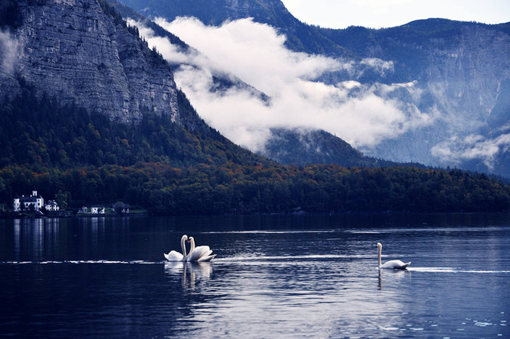 ǣƵHallstatt