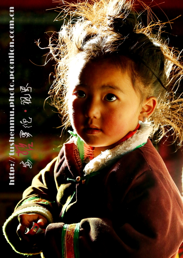 西藏之光