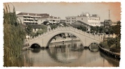 三林塘-桥