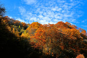 米仓山的秋色