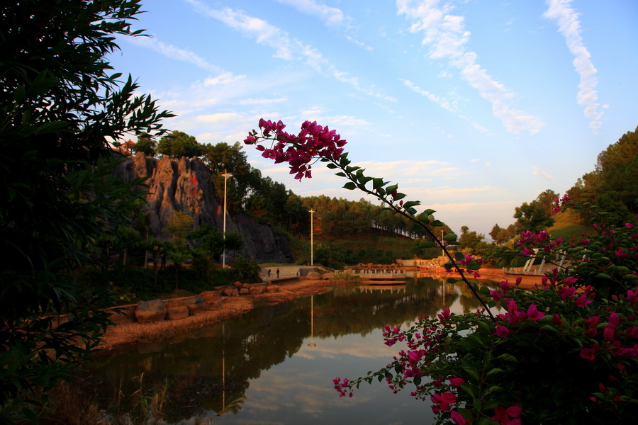 平南生态公园的景色图片