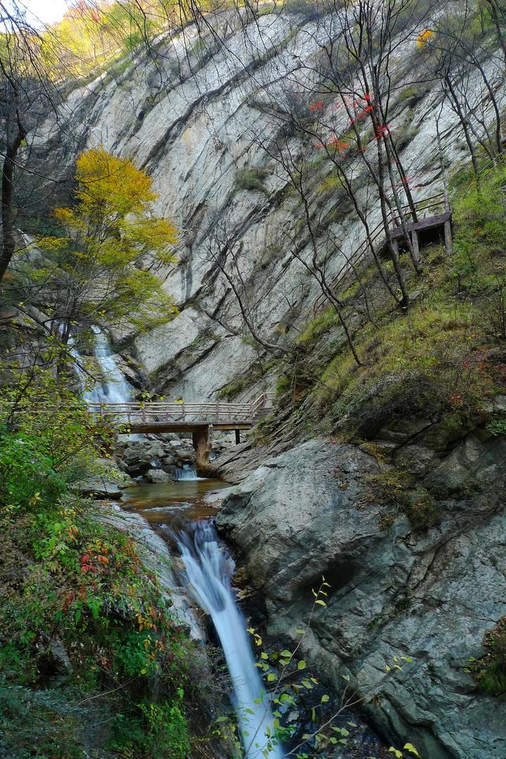 太平峪森林公园图片