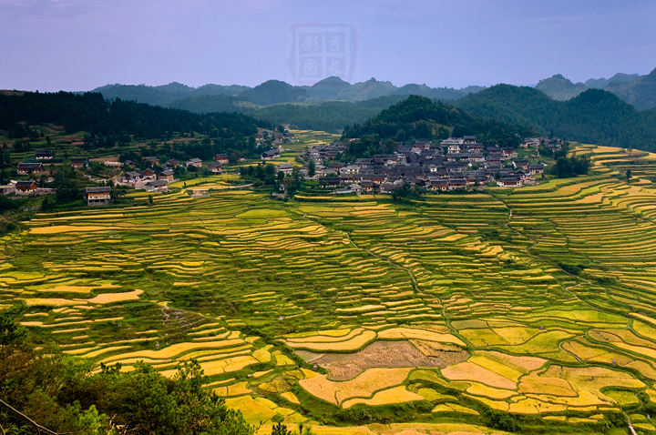 贵州乡村行之丹寨县高要村(秋景(共17p)