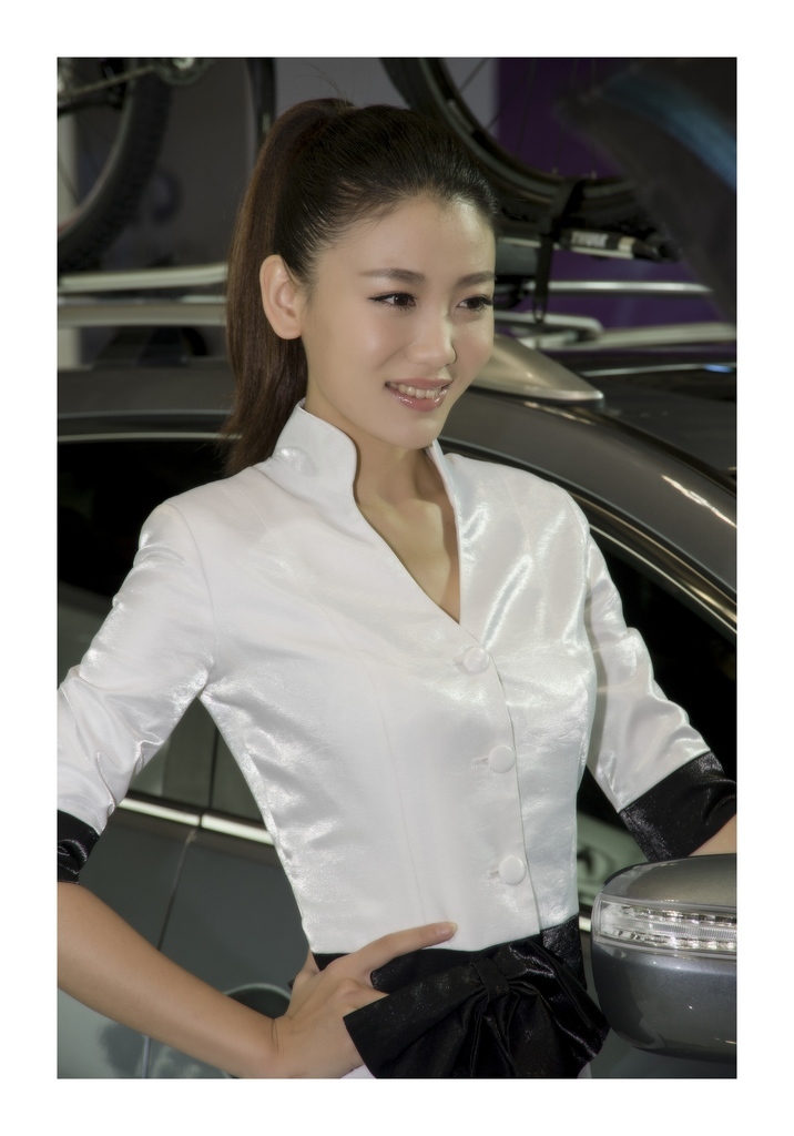 2012.11쳵չģ