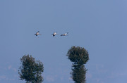 2012йݺ