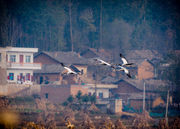 2012йݺ