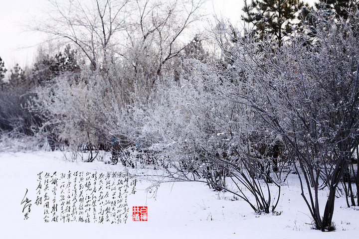 ѩ֮