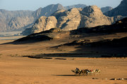 12约旦-瓦地伦沙漠的驼铃声
