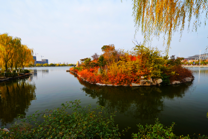 凤鸣湖湿地公园图片