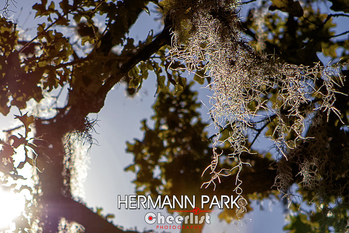 Hermann Park