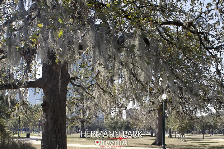 Hermann Park