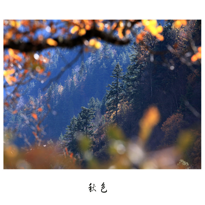 ɫ