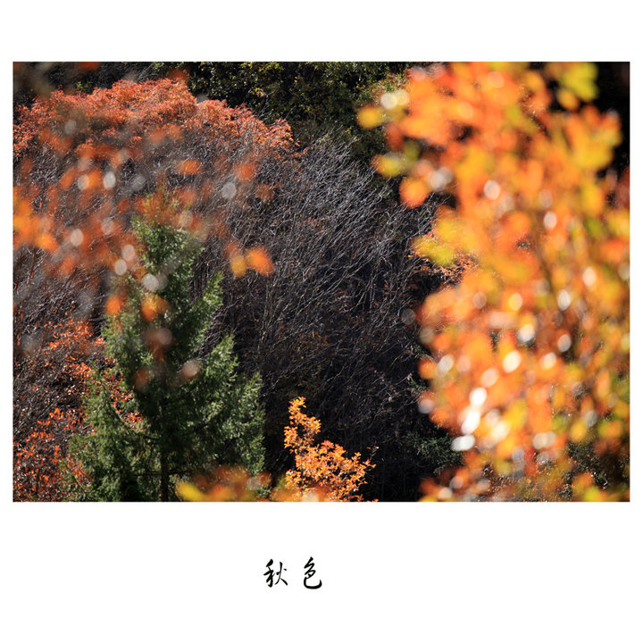 ɫ