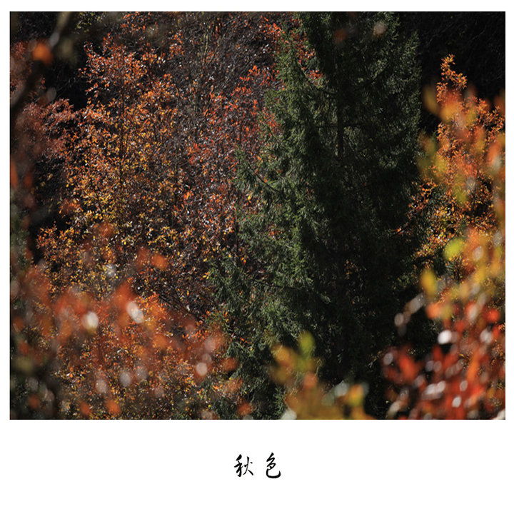 ɫ