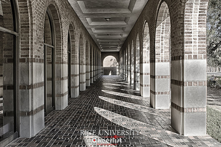 Rice University