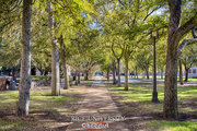 Rice University