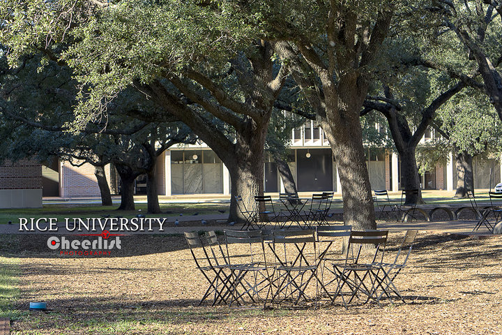 Rice University