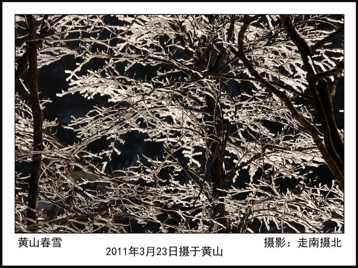 ҵ2011ϰ겿Ƭ