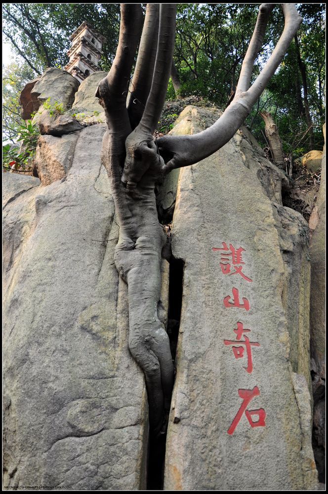 天平山奇石怪岩