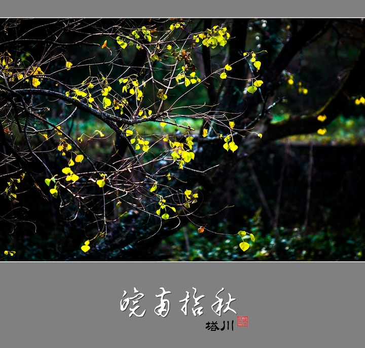 ʰ  