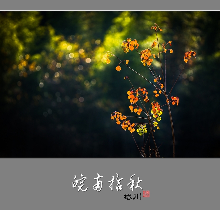 ʰ  