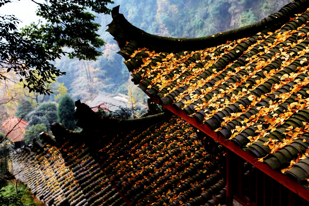 林州白岩寺图片