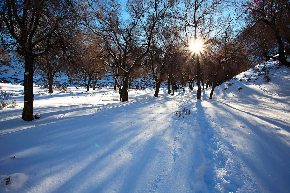 冬日暖阳|摄影|风光|BJCasablanca - 原创作品 - 站酷 (ZCOOL)