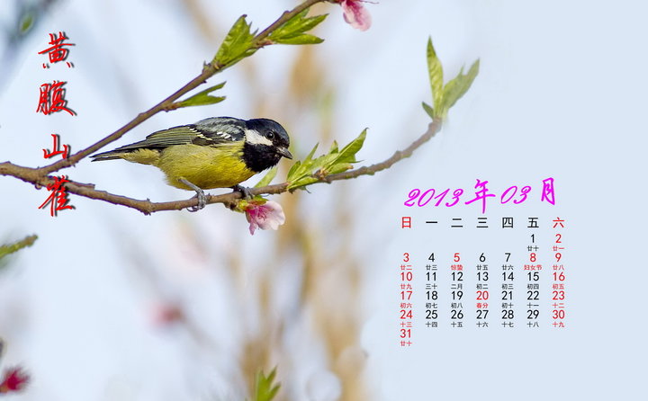 2013ҰӰ