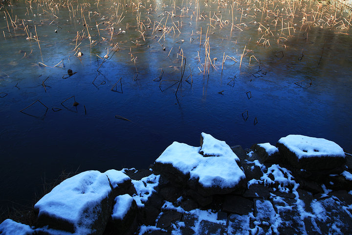 2012ĩǳѩ