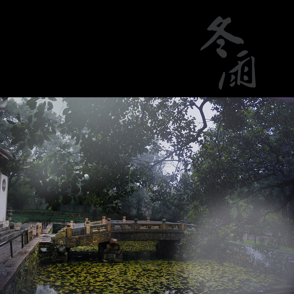 冬雨的图片唯美 雨景图片