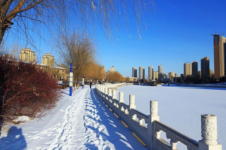 海河雪景图片