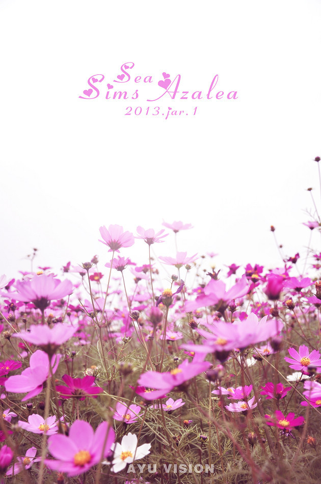 Sea of Sims azalea