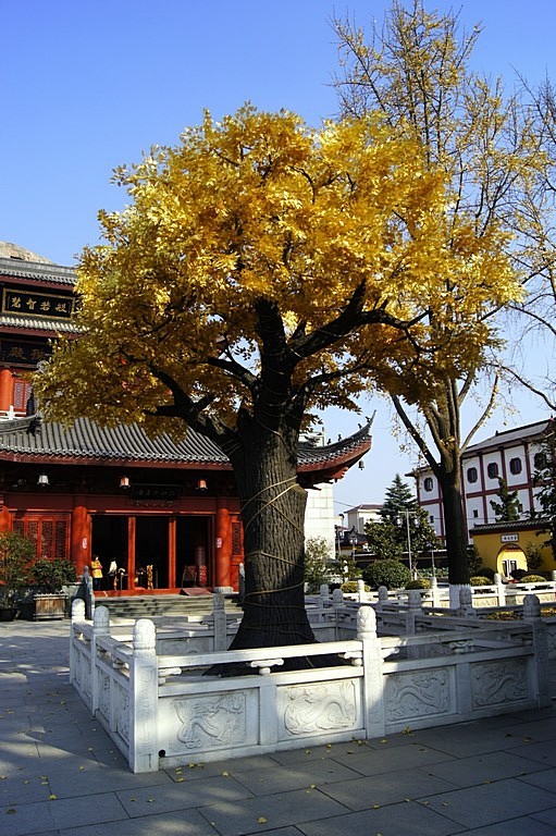 東林寺(二)