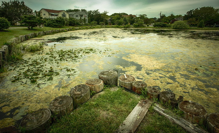 Cape May 