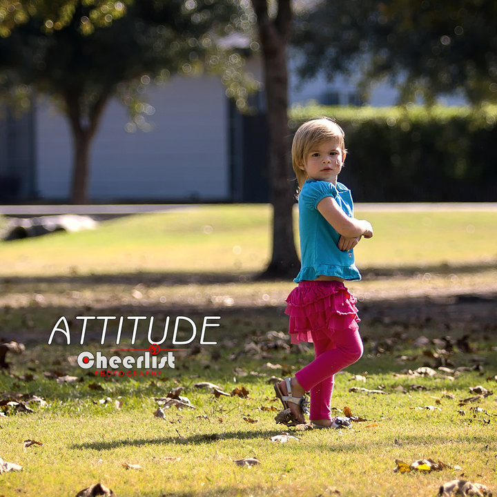 Attitude