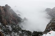 黄山之雪景、雪松、云雾