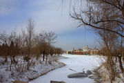 公园的雪景